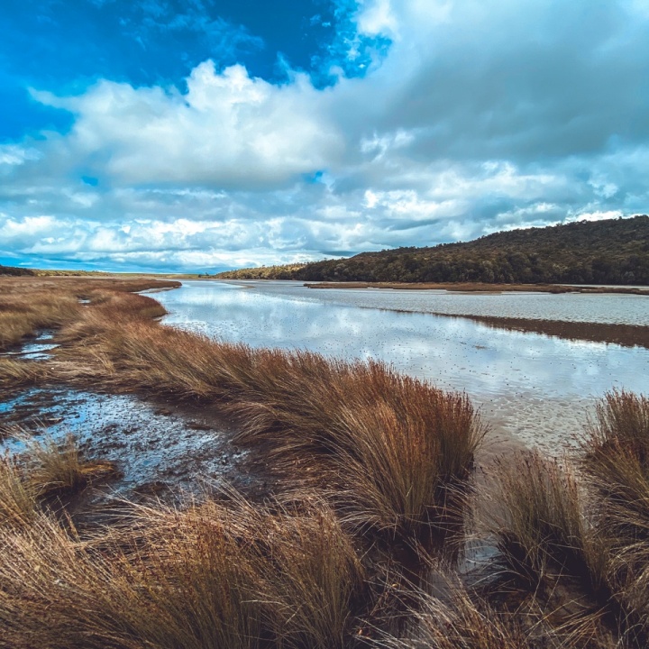 Experience The Catlins